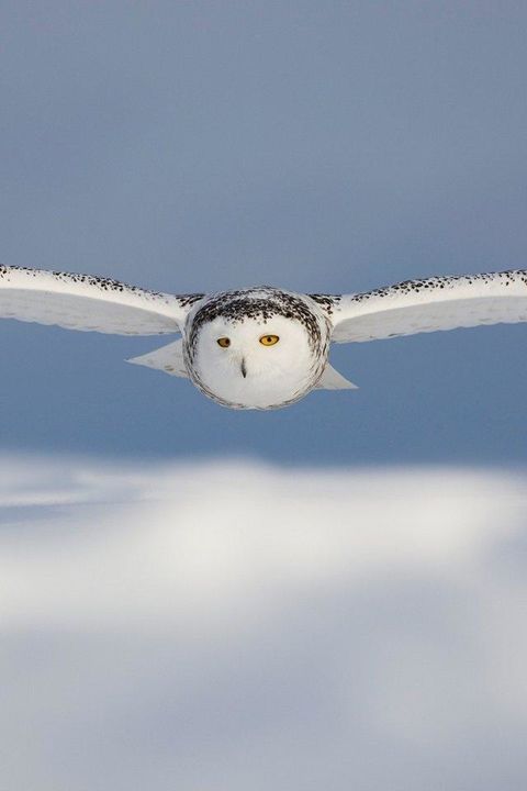 华晨宇hereweare完整版,华晨宇tobefree伴奏合唱