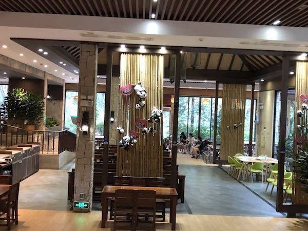 黑色十一代本田雅阁自驾游,本田雅阁轿车自驾游的真实生活