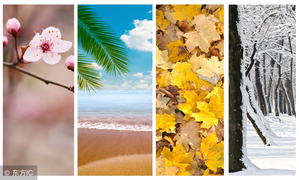 你的英语水平怎么样英语,你的英语真差