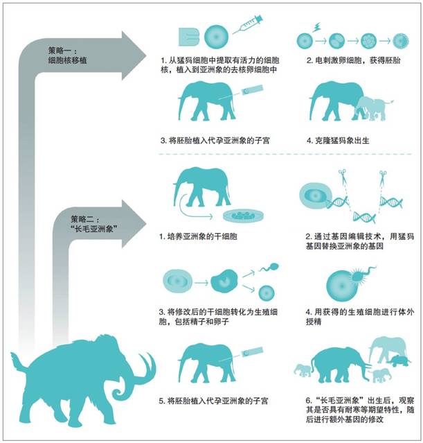 远古巨兽现在去哪了,最强远古巨兽
