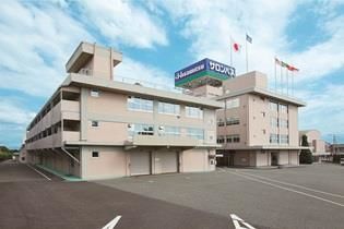 治疗关节炎的日本进口药,日本治疗创伤性关节炎