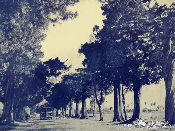 孔府孔林孔庙的高清图片,孔府孔庙孔林经典高清照片