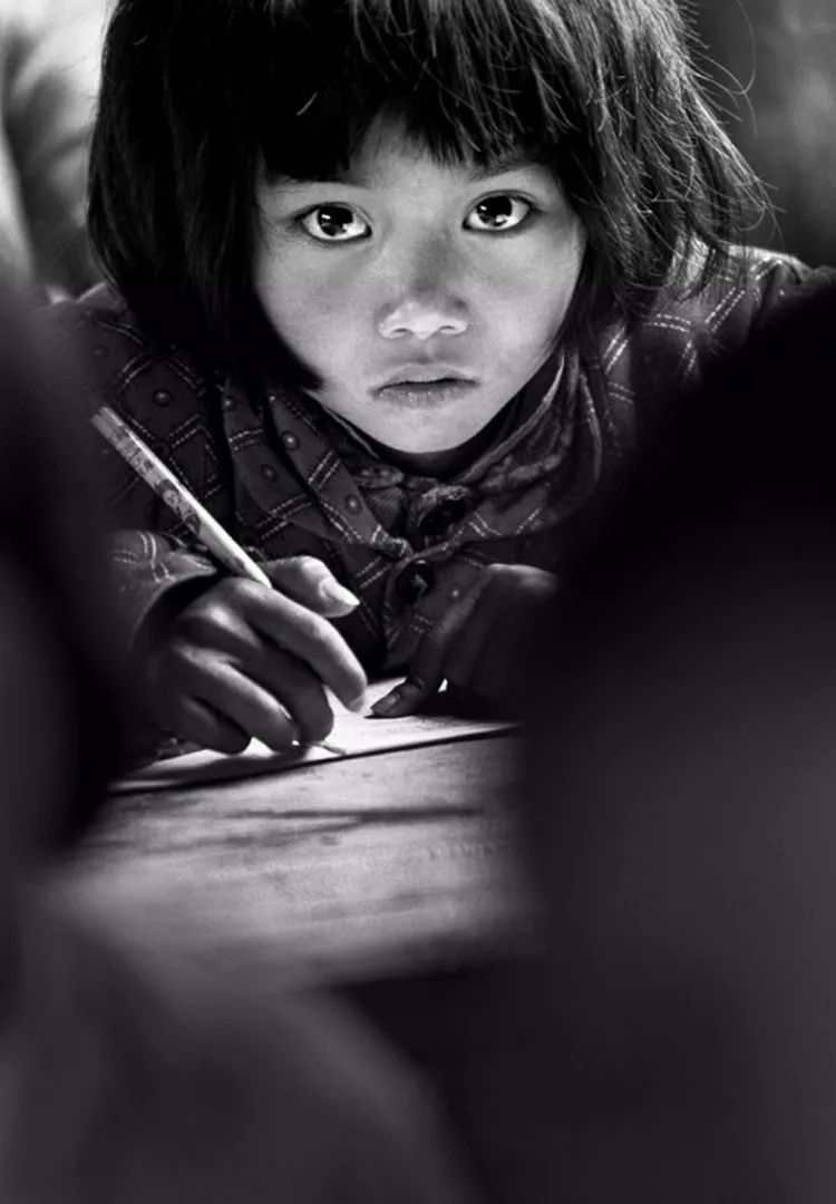 构图决定一切阅读感悟怎么写,构图决定一切史林平