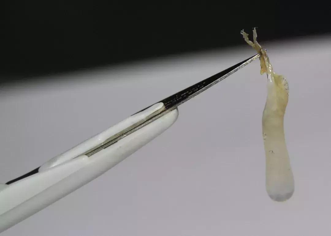 抠出来的鼻屎不要丢，隔壁家的小孩都馋哭了