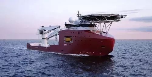 一张震撼世人的假照片,你看到的不一定是真相图片