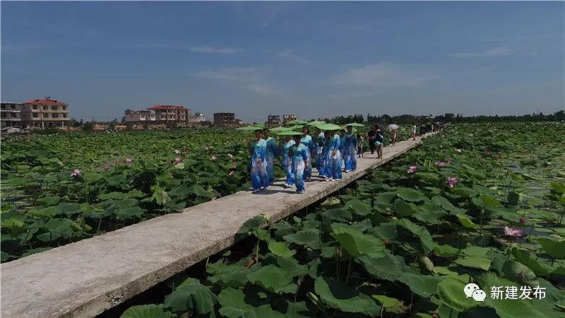 南昌市撤乡设镇新闻,南昌县改区最新进展