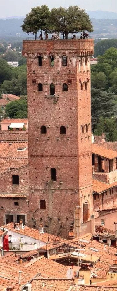 珍藏珍贵图片,极其罕见珍贵的绝版照片