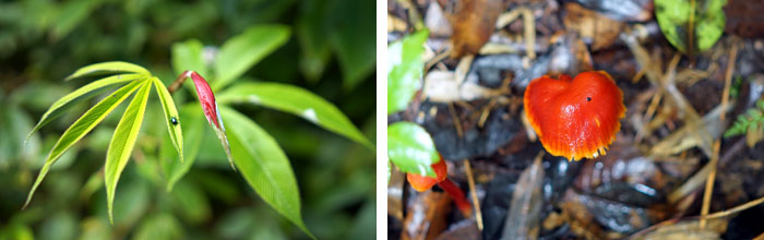 滇藏线越野穿越,滇藏9天自驾穿越之旅