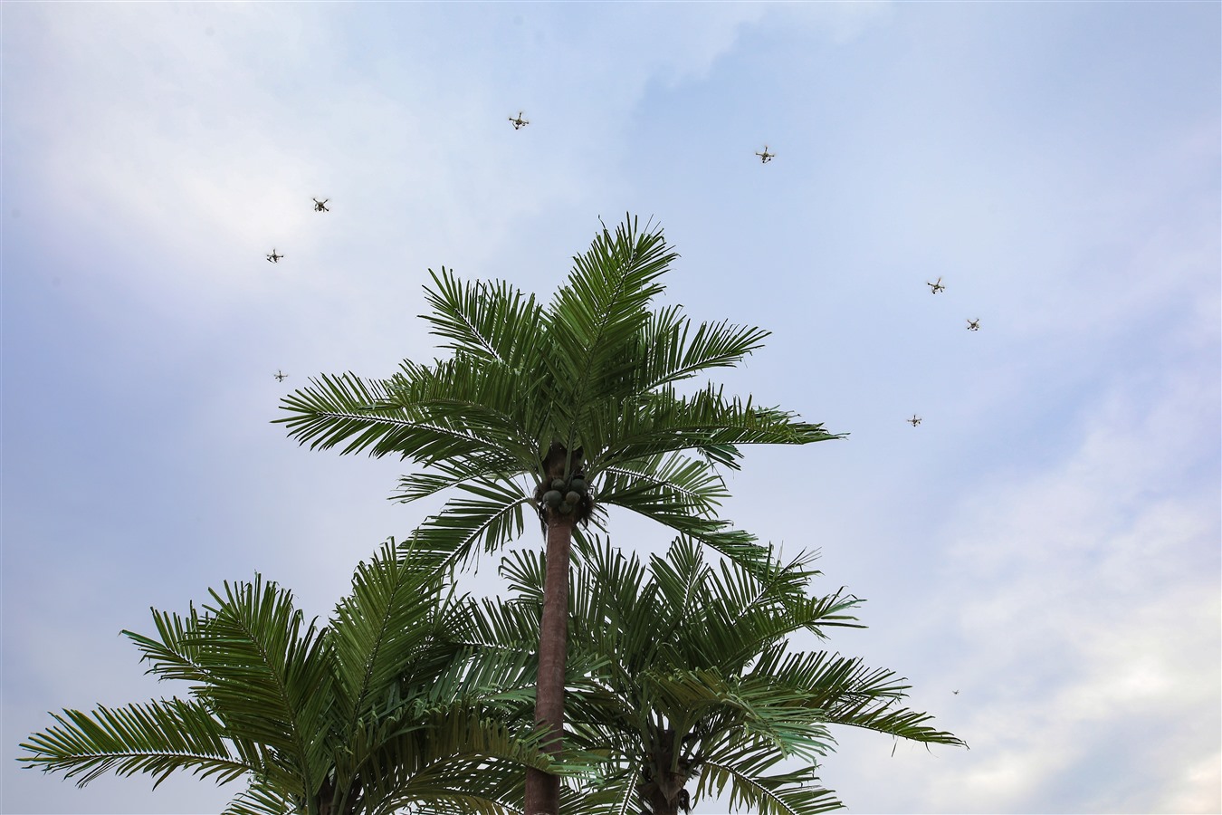 莱西文化旅游节,青岛莱西啤酒节