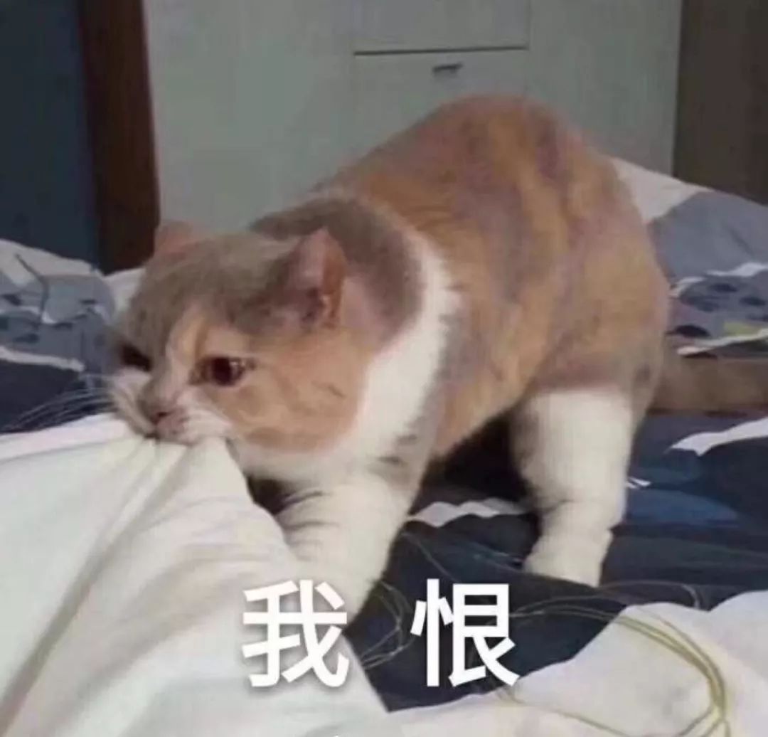 泰国蛇毒面膜到底含不含激素,泰国海藻面膜曝光