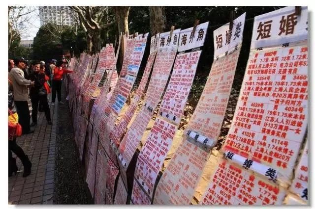 上海浦东新区旅游攻略自由行,上海苏州杭州嘉兴乌镇旅游攻略