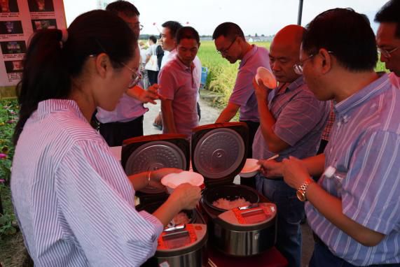 彩色米、年糕米、寿司米……291个品种亮相，稻米也可量身定制！