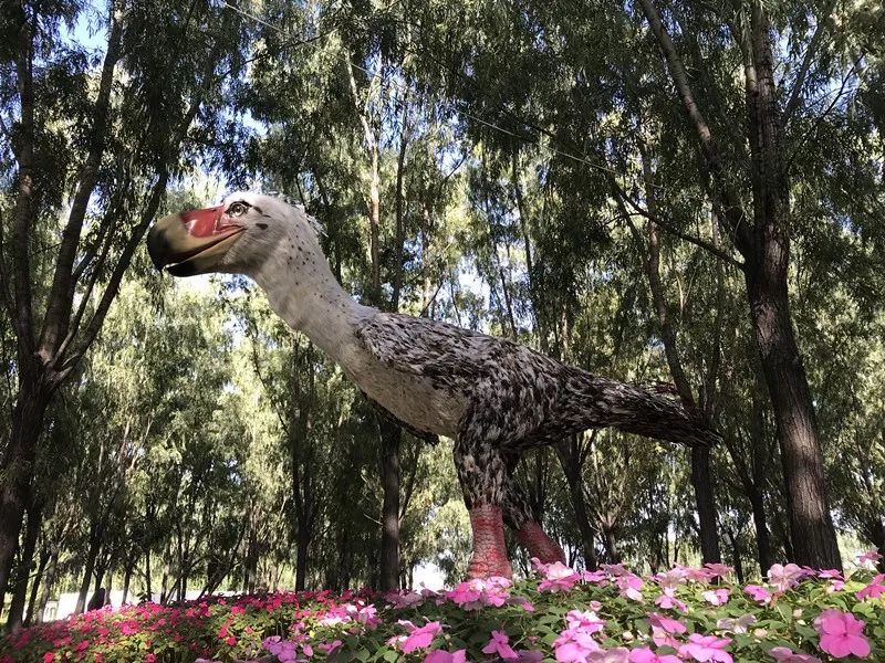 全城通告最新信息,全城通告在线播放