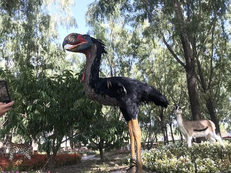 全城通告最新信息,全城通告在线播放