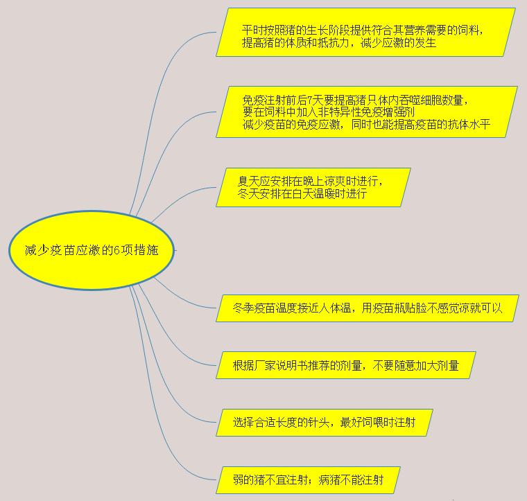 猪接种了口蹄疫发烧怎么办,猪疫苗应激怎么解决