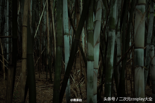 剑侠情缘网络版叁少林cos，温柔俊美，我居然有了种心动的感觉