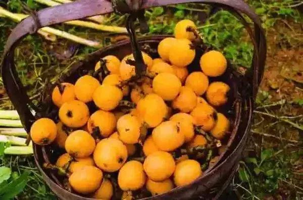 港真！劝你国庆千万别离开广州！因为……