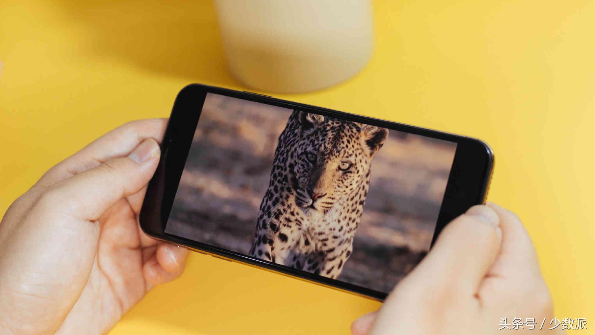 一次称职的S代升级，买不买主要还是看价格：iPhoneXS体验