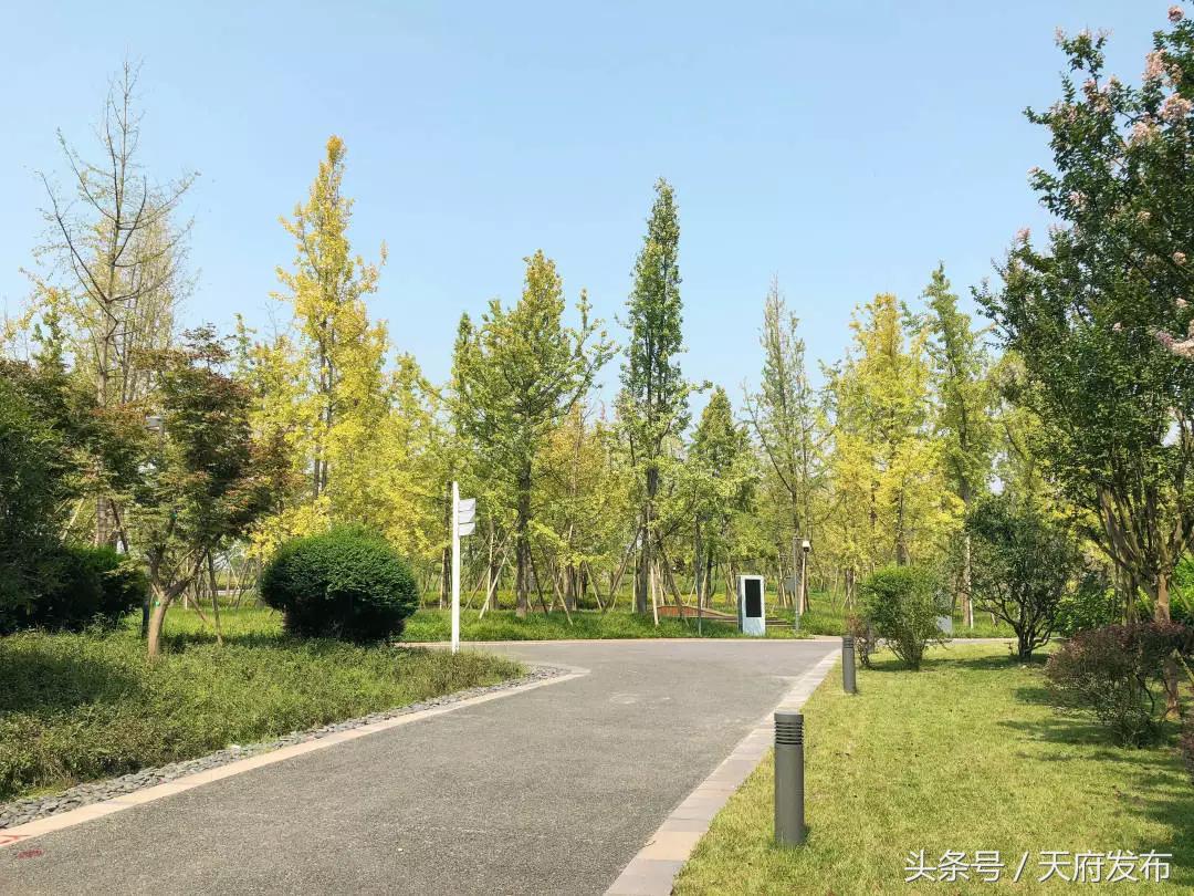 天府新区国庆哪里玩,国庆假期游玩攻略成都天府新区