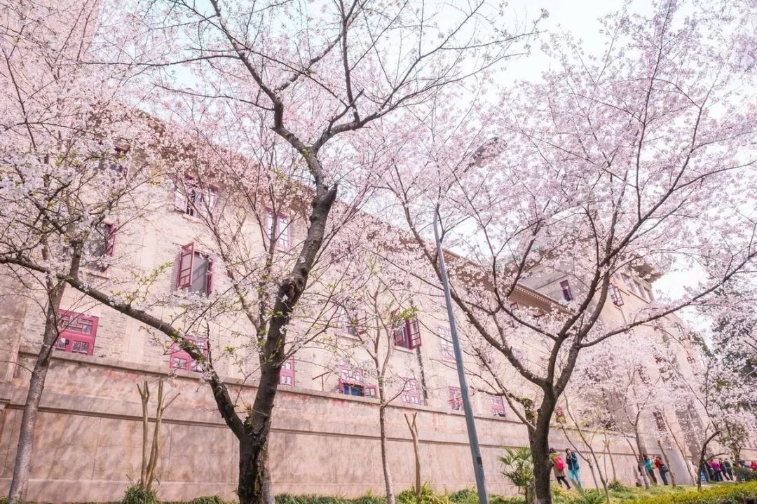 孤独星球旅游纪录片,孤独星球2019年旅游