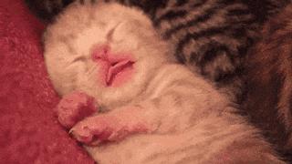 国庆七天长假去哪里,国庆七天游江西攻略