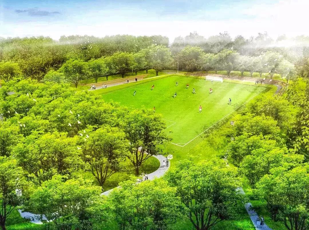 郑州足球小镇2019,郑州足球小镇有真草足球场吗