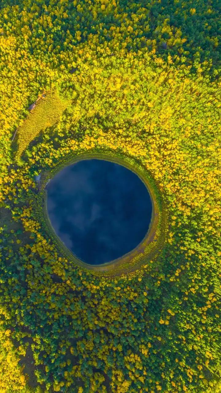 什么是中国传统文化,什么是中国文化