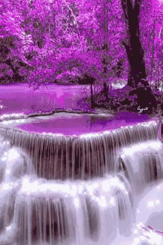 会动的美丽的图片,会动的照片绝美