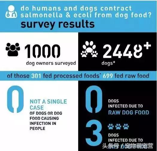 宠物狗生骨肉制作,宠物狗生小狗有什么动作