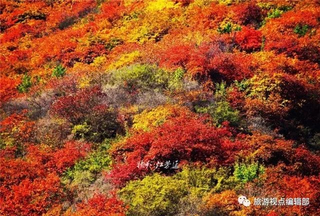好山好水好风景等你来玩,好山好水好风景等你来