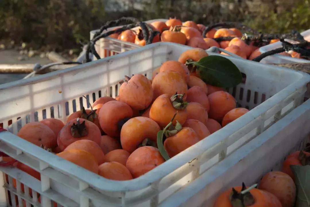 14种好吃的零食,中国最受欢迎十种小吃