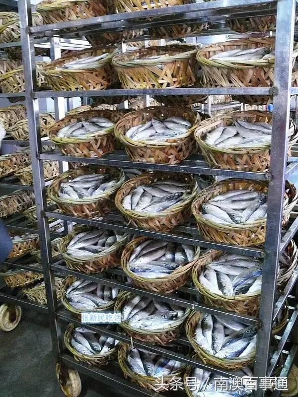 潮汕说的熟鱼和巴浪鱼有什么区别,巴浪鱼只有闽南粤东才有吗