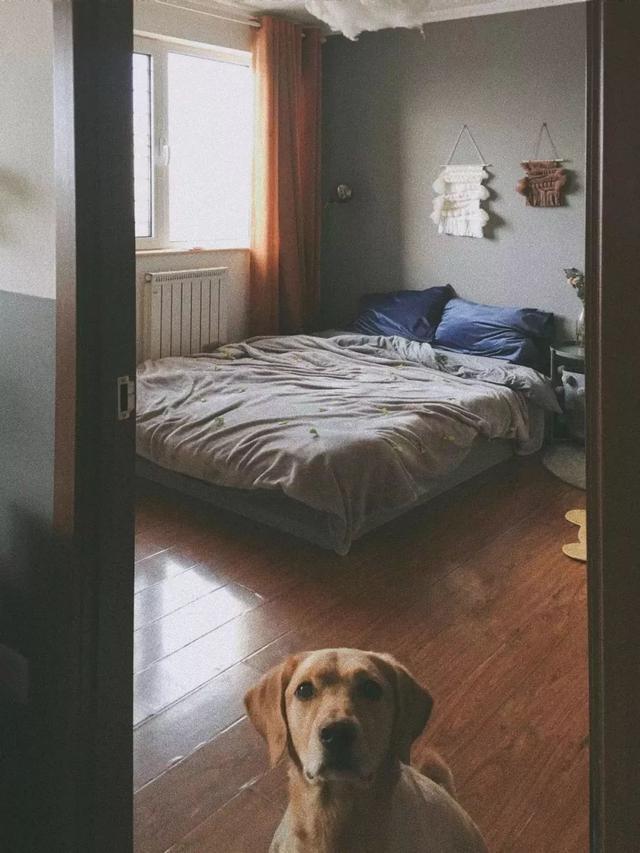 如何分辨床头朝向,一个家庭的床头朝向要不要不一致