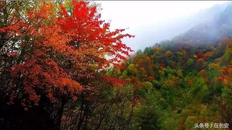 西安秦岭自驾一日游免费景点,西安出发一小时深藏秦岭山水秘境
