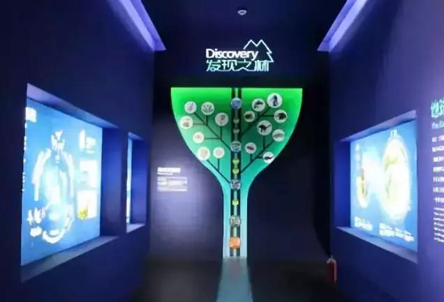 大厂附近旅游景点推荐一日游,五一旅游景点推荐大厂