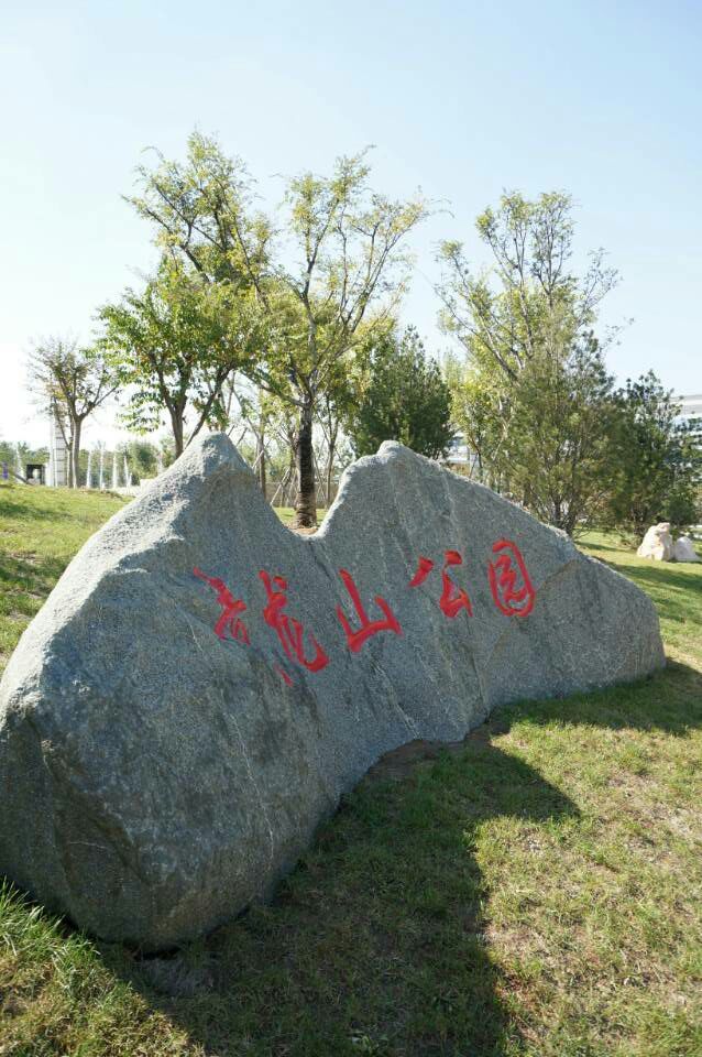 淄博张店青龙山景区,淄博市张店区青龙山公园简介