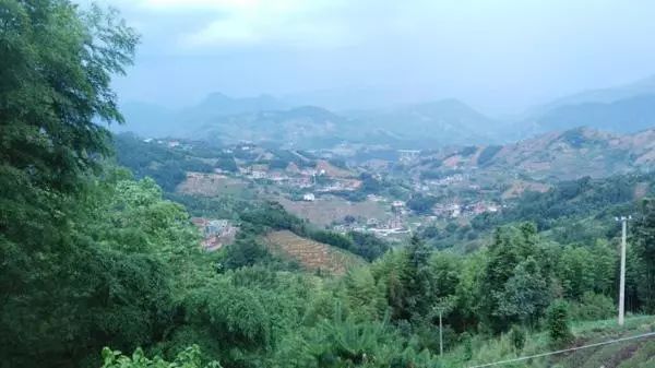 全国十大示范村名单,湖南100个农村特色示范村视频