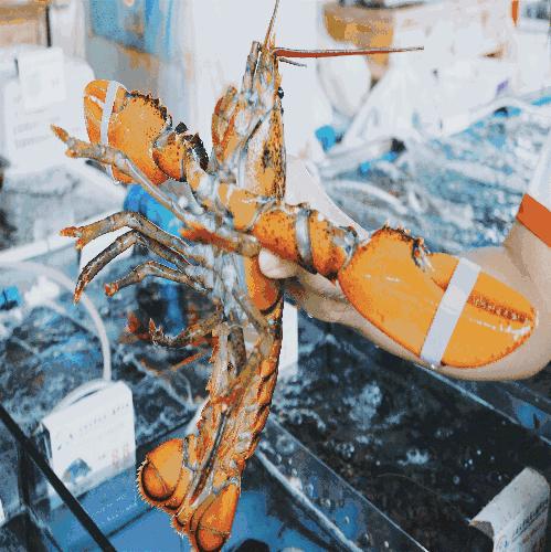 三亚火车头万人海鲜广场哪家好吃,在三亚3000元一桌的海鲜大餐