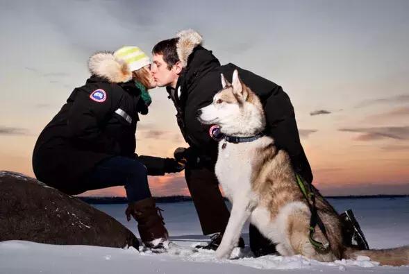 加拿大鹅什么时候涨价,加拿大鹅哭了的视频