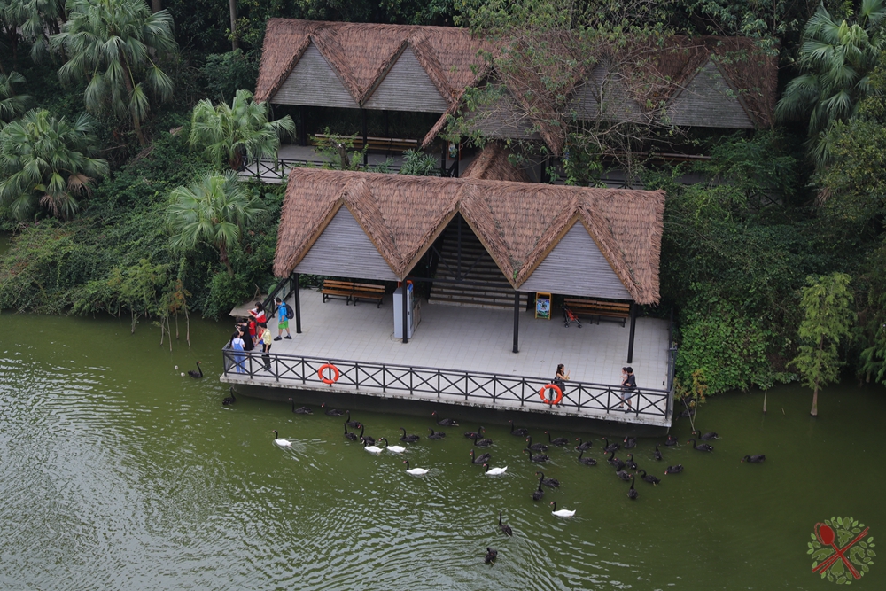 广州长隆四个乐园攻略,国庆长隆二日游