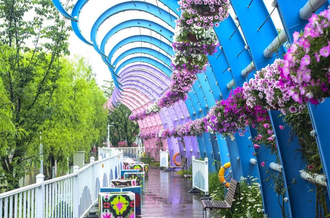 上海有个很美的公园,上海特别美而且安静的公园