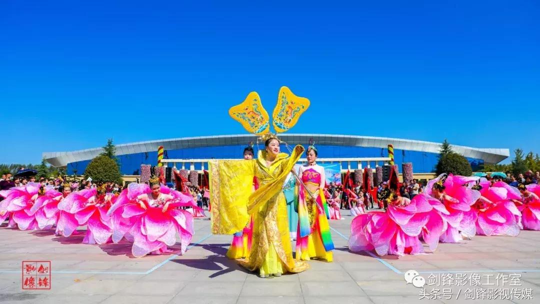 百花争艳花展,争奇斗艳花卉展