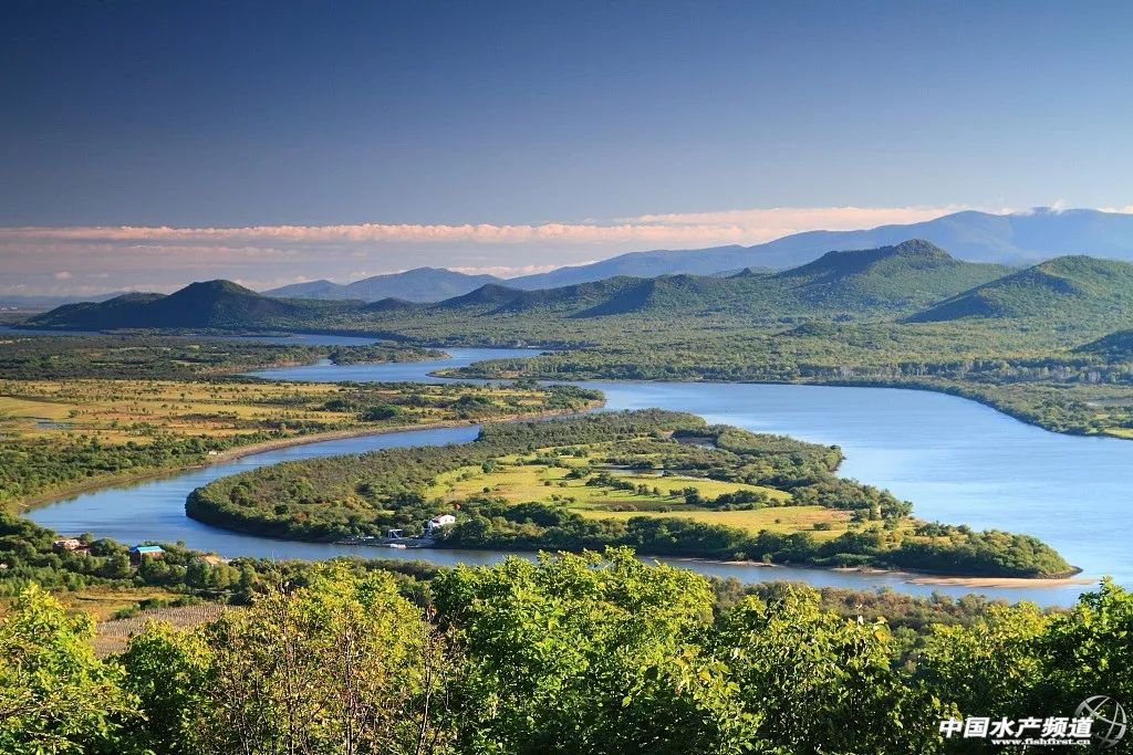 最好吃的生鱼片排名,十大顶级刺身生鱼片