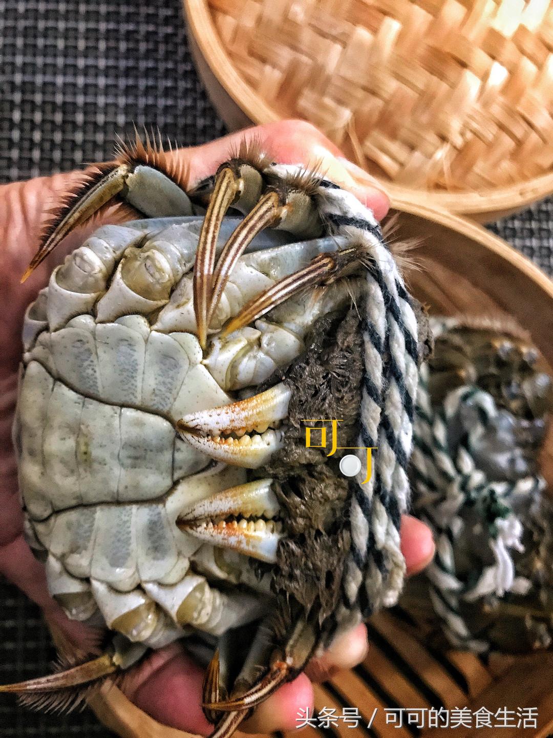 大闸蟹蒸蟹如何不掉腿,煮大闸蟹不掉腿