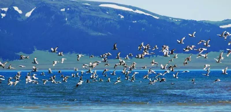 石家庄自驾九寨沟,石家庄小九寨沟在什么地方