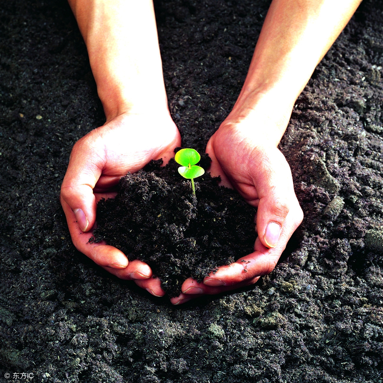 肯尼迪父亲对儿子的教诲,特朗普的爸爸如何教育孩子