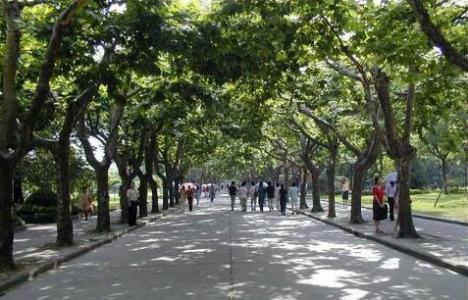 范冰冰是北京电影学院毕业的吗,范冰冰大学毕业于哪所学校