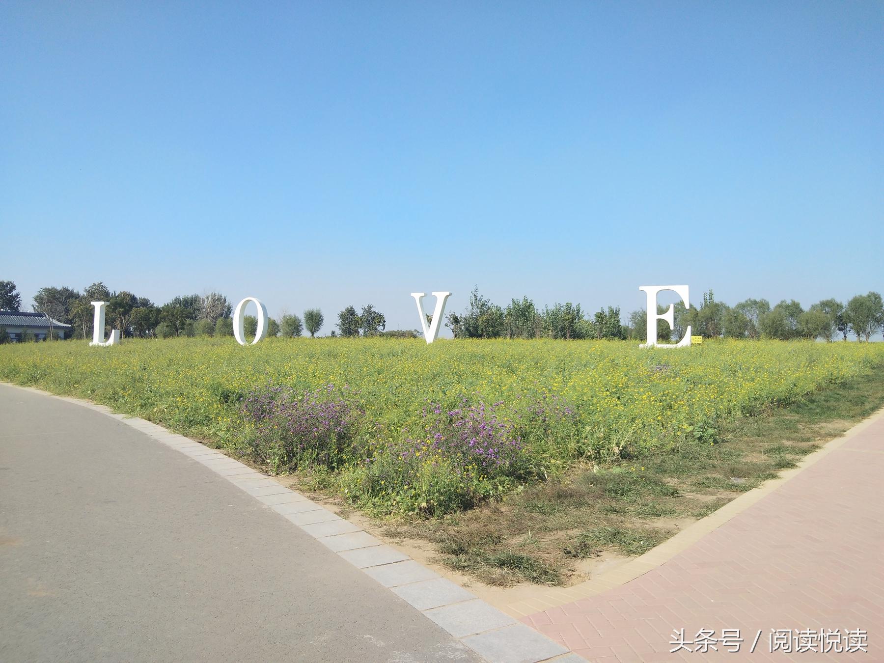 夏天的安国药博园,五一安国药都药博园