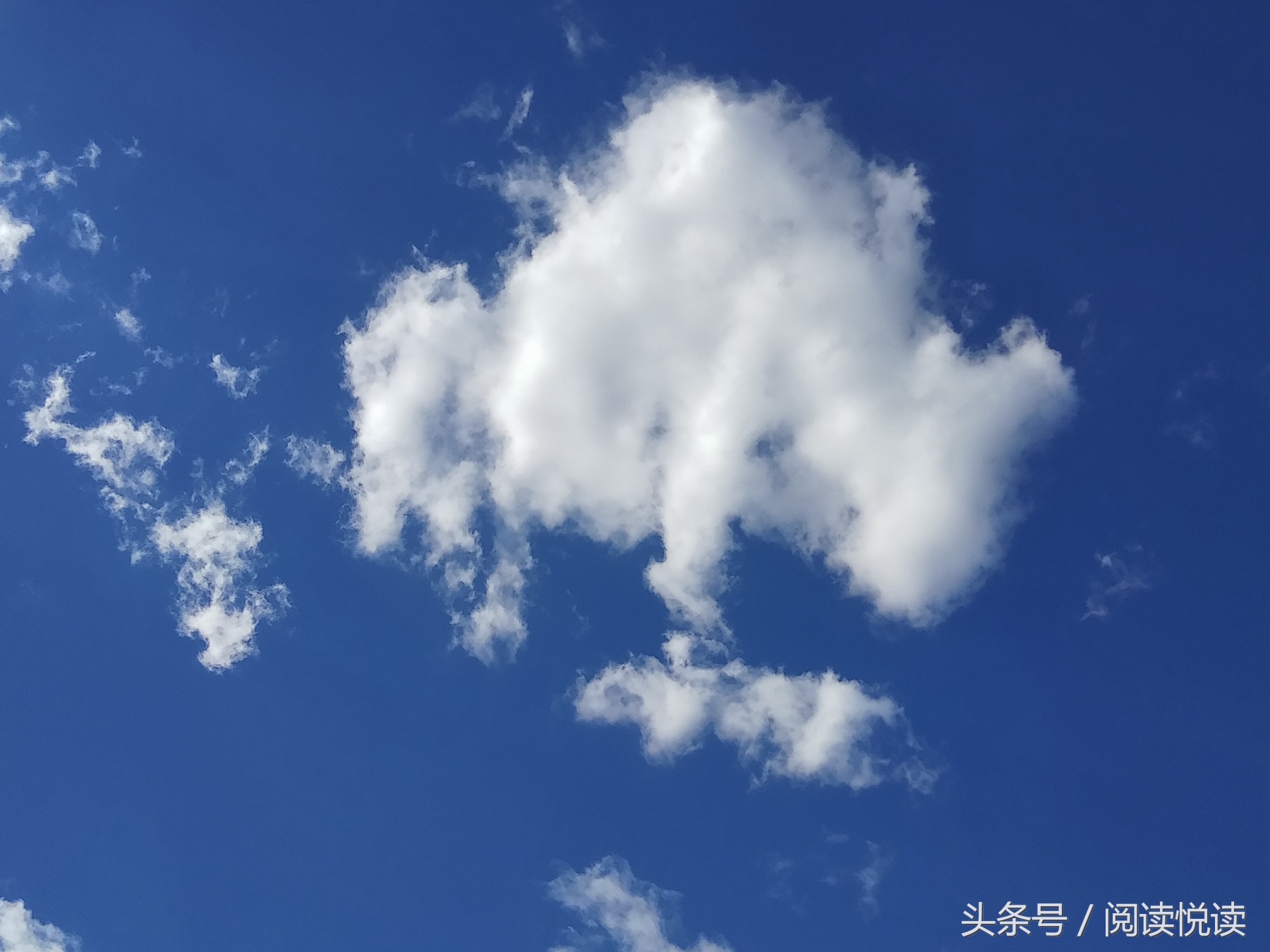 夏天的安国药博园,五一安国药都药博园