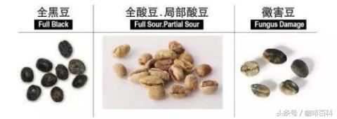 小白如何在咖啡馆点咖啡?常见菜单里咖啡种类讲解